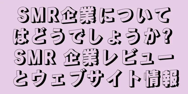 SMR企業についてはどうでしょうか? SMR 企業レビューとウェブサイト情報