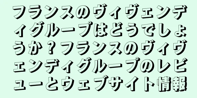 フランスのヴィヴェンディグループはどうでしょうか？フランスのヴィヴェンディグループのレビューとウェブサイト情報