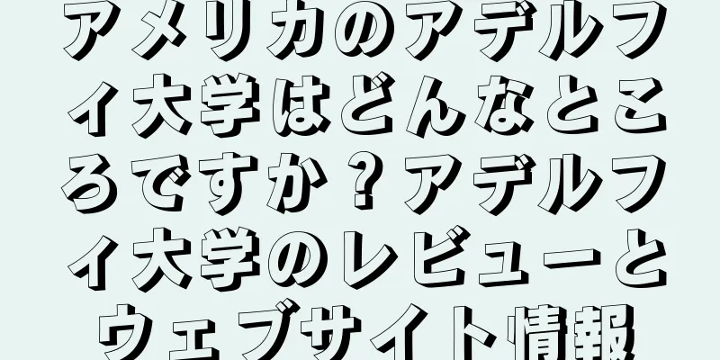 アメリカのアデルフィ大学はどんなところですか？アデルフィ大学のレビューとウェブサイト情報