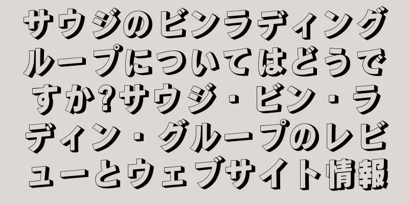 サウジのビンラディングループについてはどうですか?サウジ・ビン・ラディン・グループのレビューとウェブサイト情報