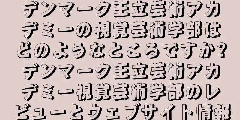 デンマーク王立芸術アカデミーの視覚芸術学部はどのようなところですか?デンマーク王立芸術アカデミー視覚芸術学部のレビューとウェブサイト情報