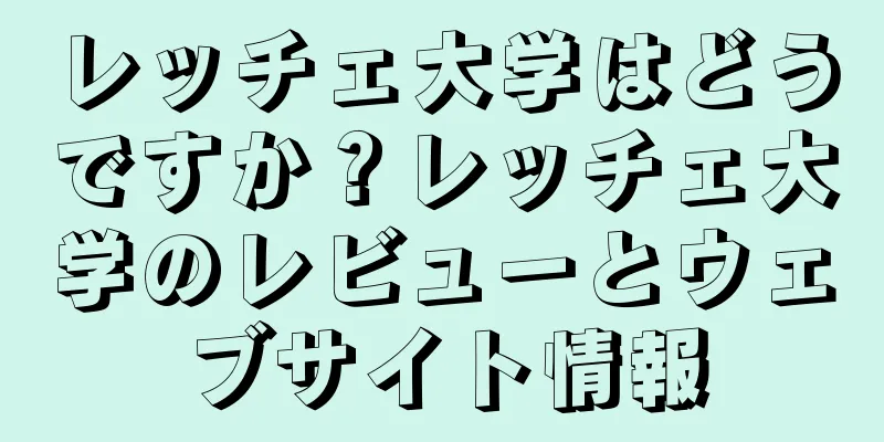 レッチェ大学はどうですか？レッチェ大学のレビューとウェブサイト情報