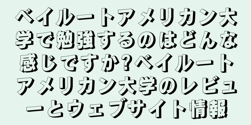 ベイルートアメリカン大学で勉強するのはどんな感じですか?ベイルートアメリカン大学のレビューとウェブサイト情報