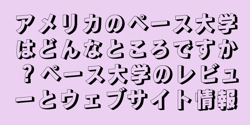 アメリカのペース大学はどんなところですか？ペース大学のレビューとウェブサイト情報