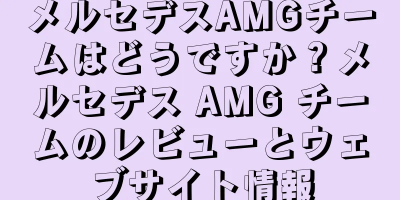 メルセデスAMGチームはどうですか？メルセデス AMG チームのレビューとウェブサイト情報