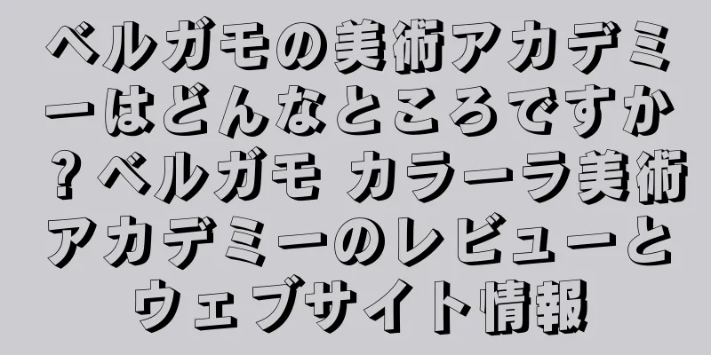 ベルガモの美術アカデミーはどんなところですか？ベルガモ カラーラ美術アカデミーのレビューとウェブサイト情報