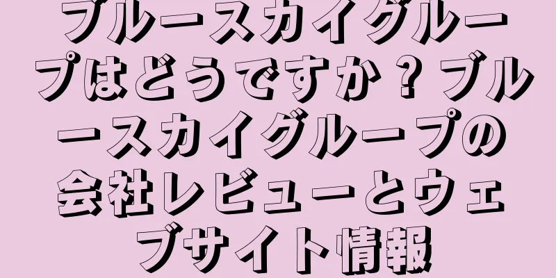 ブルースカイグループはどうですか？ブルースカイグループの会社レビューとウェブサイト情報