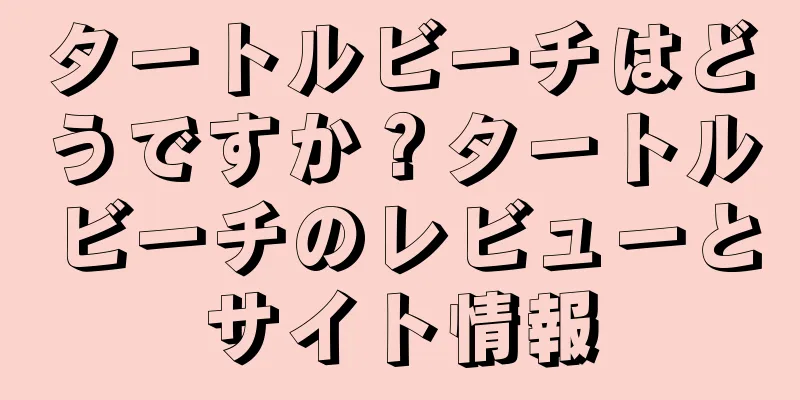 タートルビーチはどうですか？タートルビーチのレビューとサイト情報