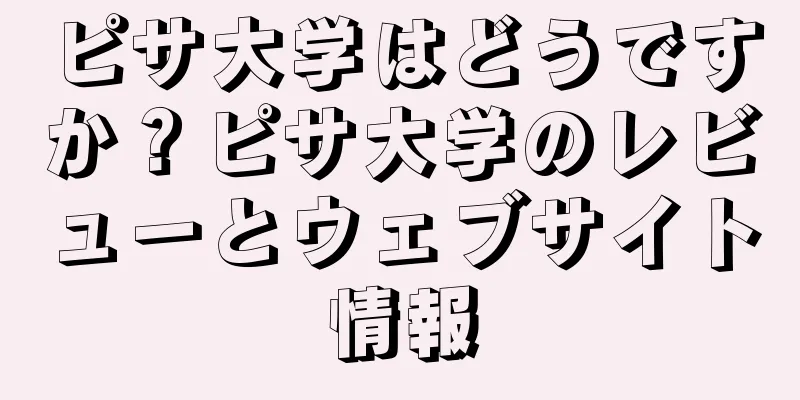 ピサ大学はどうですか？ピサ大学のレビューとウェブサイト情報