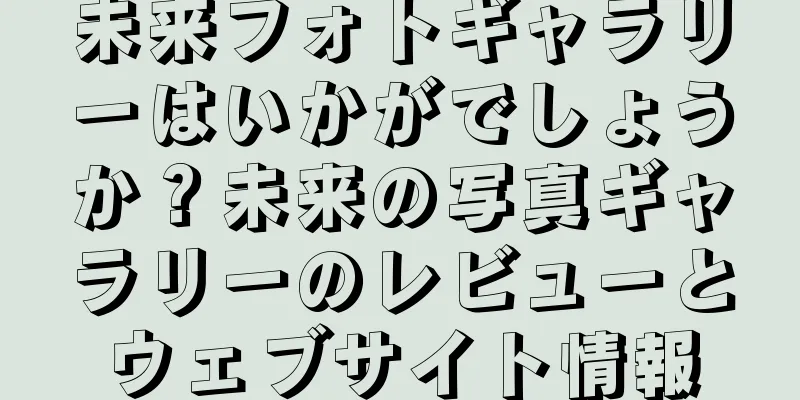 未来フォトギャラリーはいかがでしょうか？未来の写真ギャラリーのレビューとウェブサイト情報