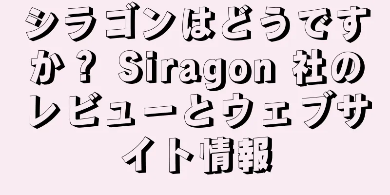 シラゴンはどうですか？ Siragon 社のレビューとウェブサイト情報