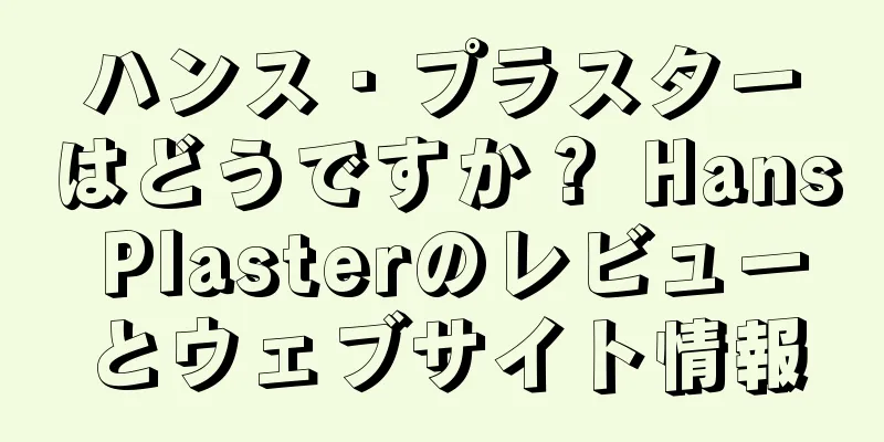 ハンス・プラスターはどうですか？ Hans Plasterのレビューとウェブサイト情報