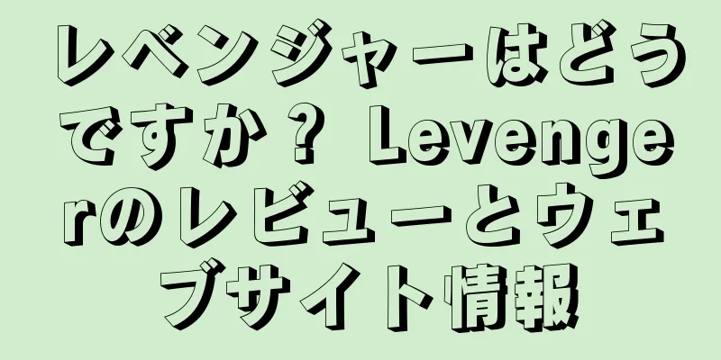 レベンジャーはどうですか？ Levengerのレビューとウェブサイト情報