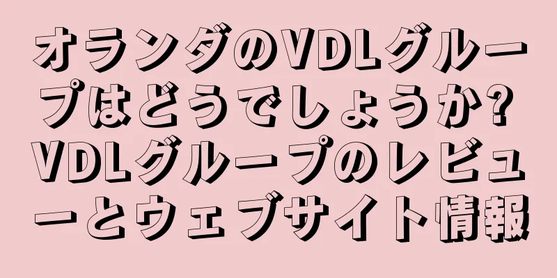 オランダのVDLグループはどうでしょうか? VDLグループのレビューとウェブサイト情報