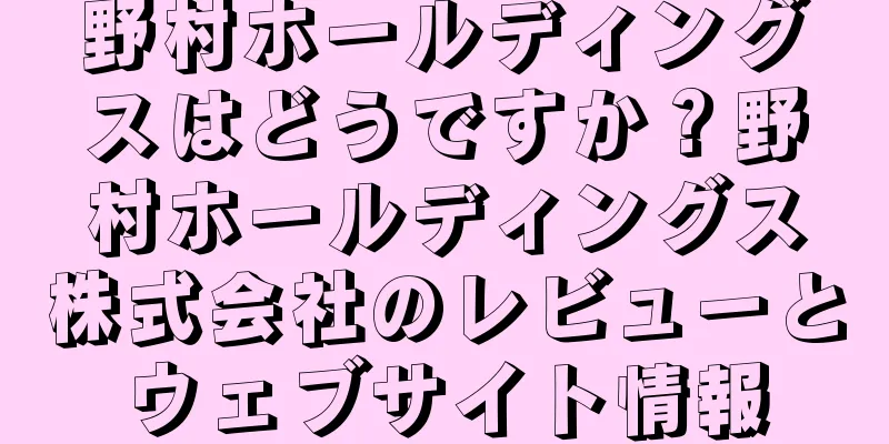 野村ホールディングスはどうですか？野村ホールディングス株式会社のレビューとウェブサイト情報