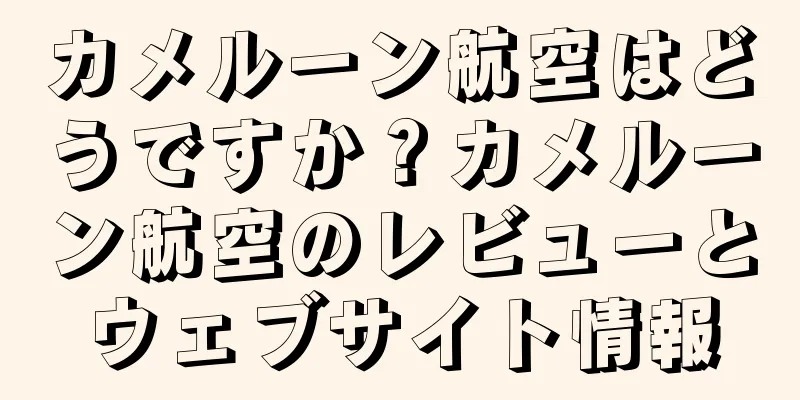 カメルーン航空はどうですか？カメルーン航空のレビューとウェブサイト情報