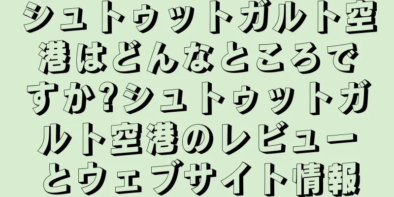 シュトゥットガルト空港はどんなところですか?シュトゥットガルト空港のレビューとウェブサイト情報