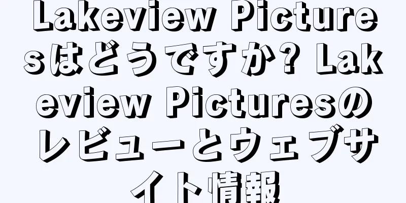 Lakeview Picturesはどうですか? Lakeview Picturesのレビューとウェブサイト情報