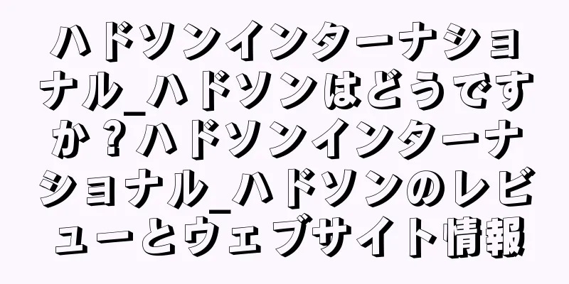 ハドソンインターナショナル_ハドソンはどうですか？ハドソンインターナショナル_ハドソンのレビューとウェブサイト情報