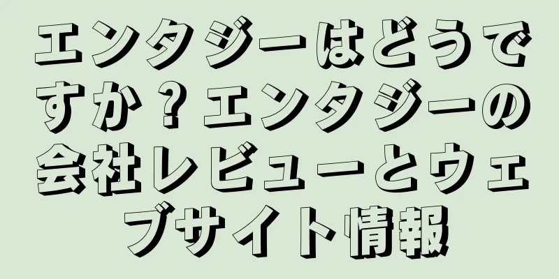 エンタジーはどうですか？エンタジーの会社レビューとウェブサイト情報