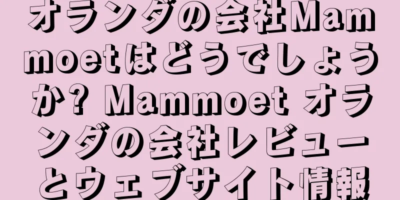 オランダの会社Mammoetはどうでしょうか? Mammoet オランダの会社レビューとウェブサイト情報