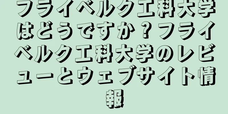 フライベルク工科大学はどうですか？フライベルク工科大学のレビューとウェブサイト情報