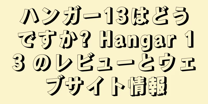 ハンガー13はどうですか? Hangar 13 のレビューとウェブサイト情報