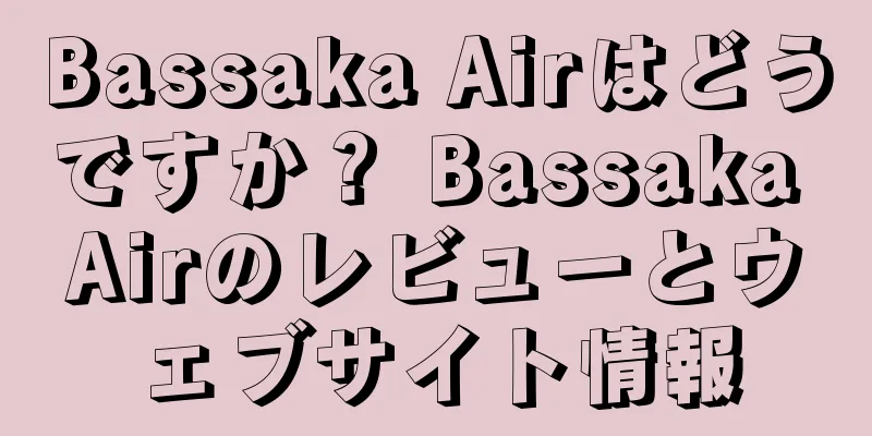 Bassaka Airはどうですか？ Bassaka Airのレビューとウェブサイト情報