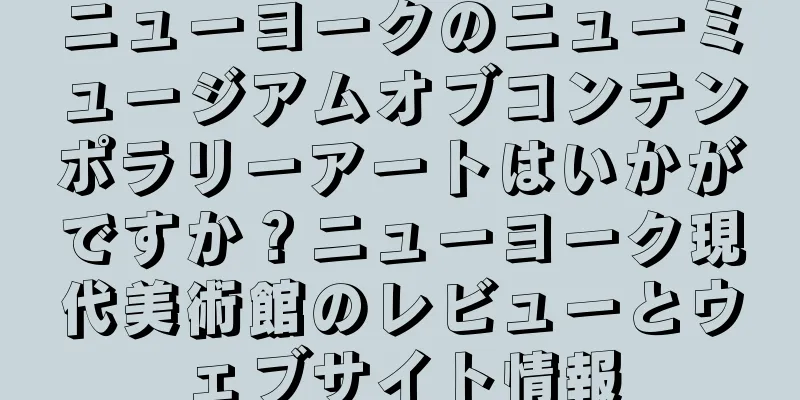 ニューヨークのニューミュージアムオブコンテンポラリーアートはいかがですか？ニューヨーク現代美術館のレビューとウェブサイト情報