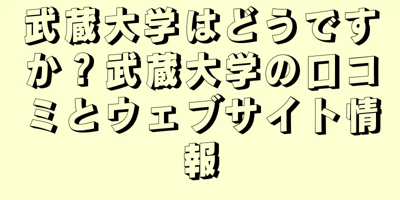 武蔵大学はどうですか？武蔵大学の口コミとウェブサイト情報