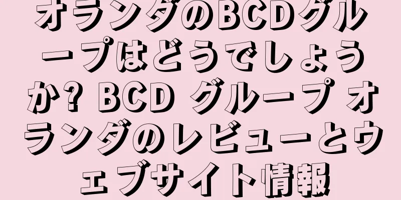 オランダのBCDグループはどうでしょうか? BCD グループ オランダのレビューとウェブサイト情報