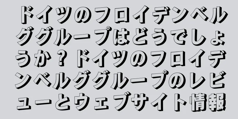 ドイツのフロイデンベルググループはどうでしょうか？ドイツのフロイデンベルググループのレビューとウェブサイト情報