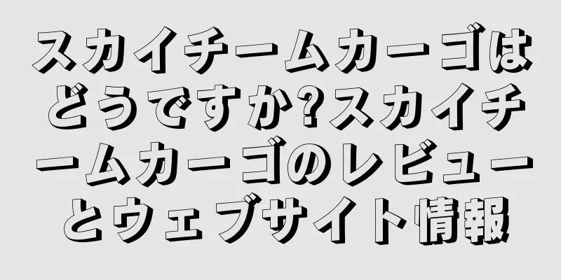 スカイチームカーゴはどうですか?スカイチームカーゴのレビューとウェブサイト情報