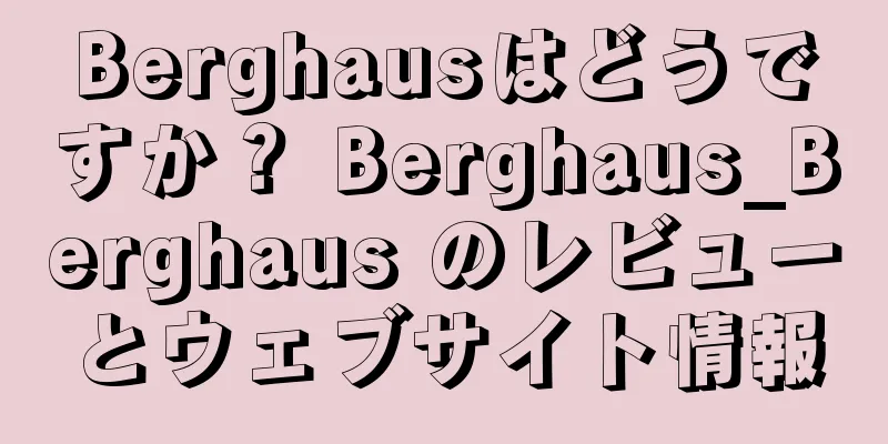Berghausはどうですか？ Berghaus_Berghaus のレビューとウェブサイト情報