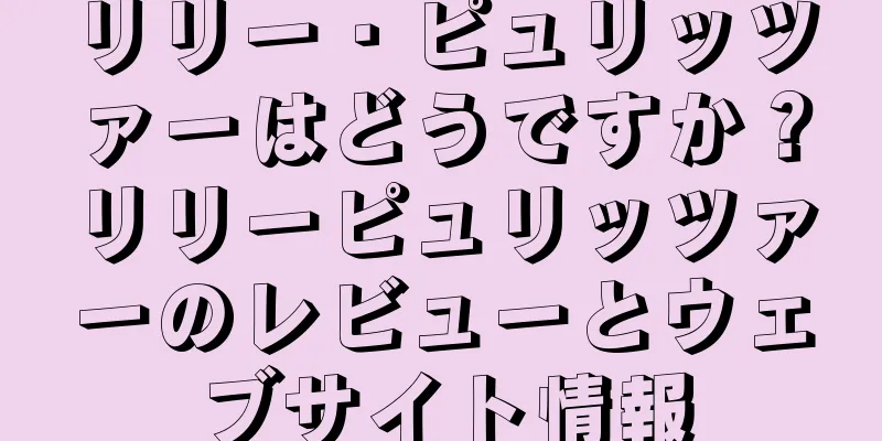 リリー・ピュリッツァーはどうですか？リリーピュリッツァーのレビューとウェブサイト情報