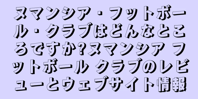 ヌマンシア・フットボール・クラブはどんなところですか?ヌマンシア フットボール クラブのレビューとウェブサイト情報