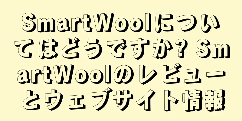 SmartWoolについてはどうですか? SmartWoolのレビューとウェブサイト情報