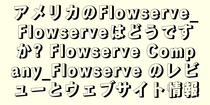アメリカのFlowserve_Flowserveはどうですか? Flowserve Company_Flowserve のレビューとウェブサイト情報