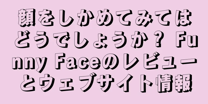顔をしかめてみてはどうでしょうか？ Funny Faceのレビューとウェブサイト情報