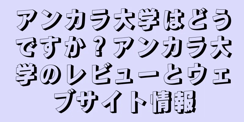 アンカラ大学はどうですか？アンカラ大学のレビューとウェブサイト情報
