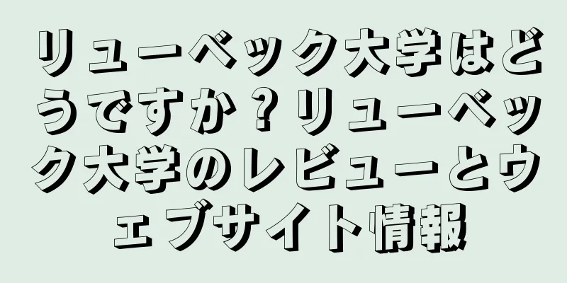 リューベック大学はどうですか？リューベック大学のレビューとウェブサイト情報
