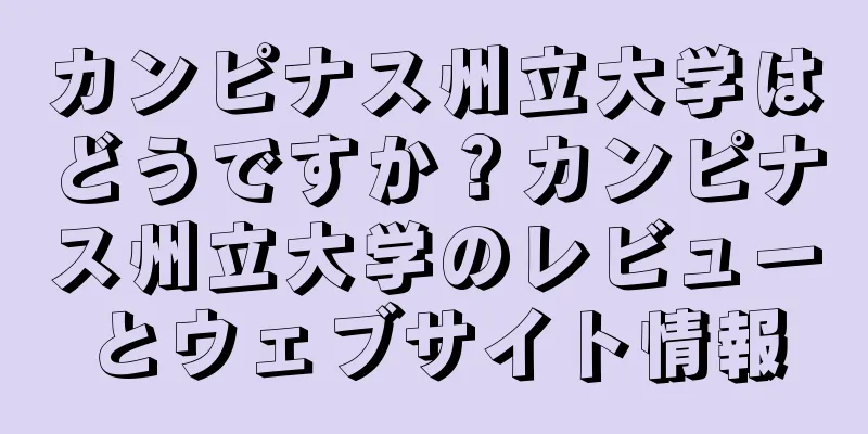 カンピナス州立大学はどうですか？カンピナス州立大学のレビューとウェブサイト情報